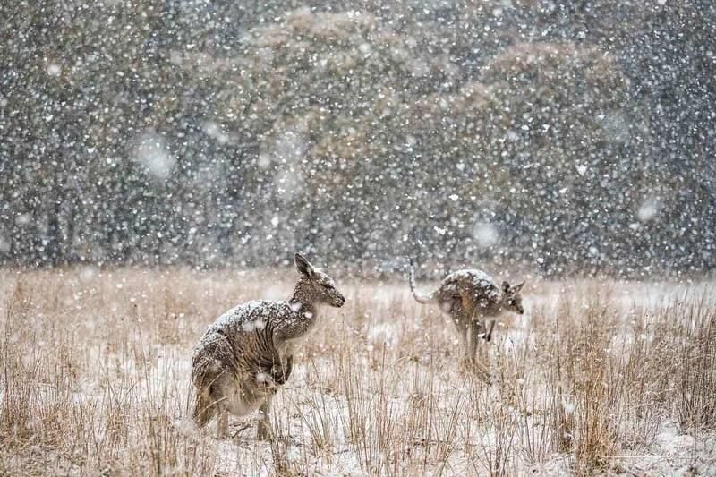 Laminating in Winter Laminating in Winter